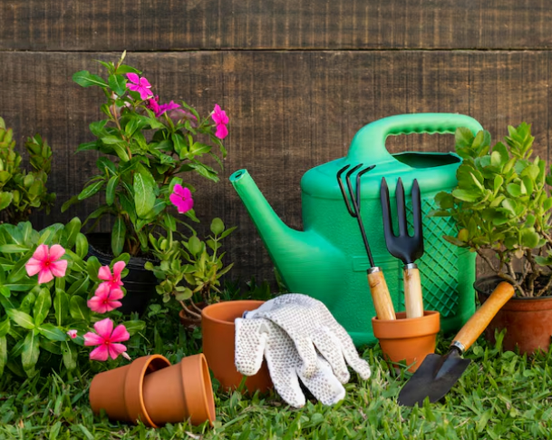 Home & Garden