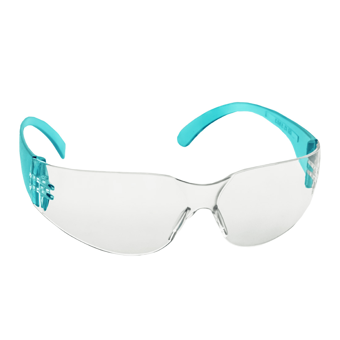 Clear Lens Safety Goggle  Venus E 102