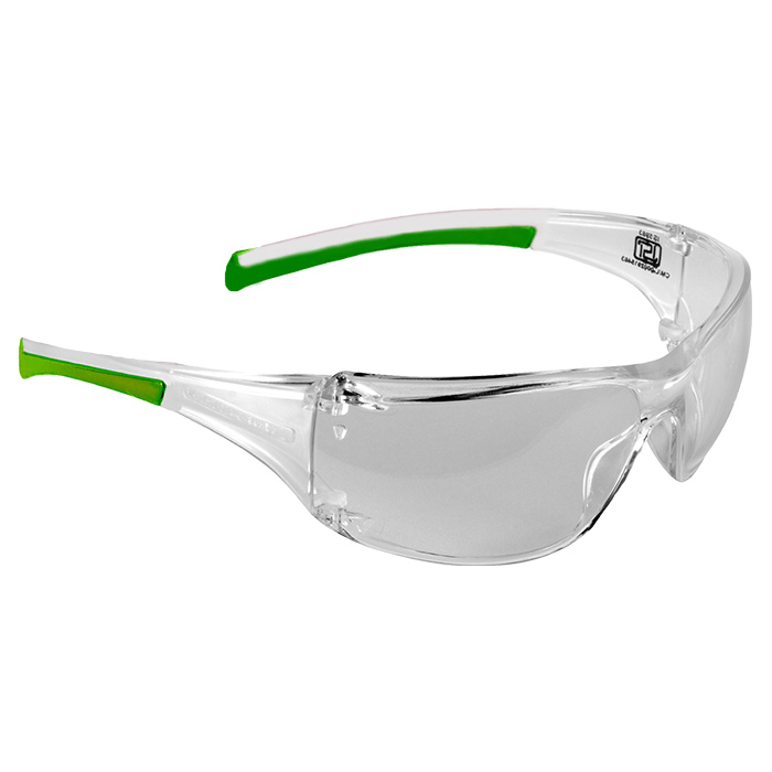 Clear Antifog Lens Goggle Venus E 305