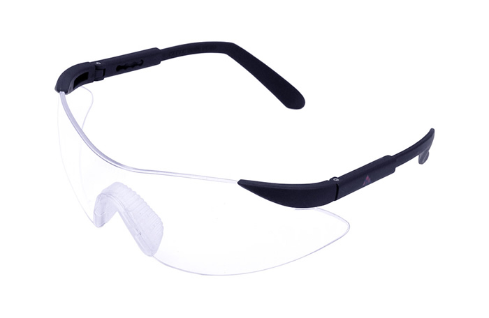 Executive Clear Lens Goggle Karam ES 006