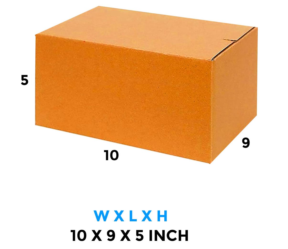5 Ply 10 x 9 x 5 Inch