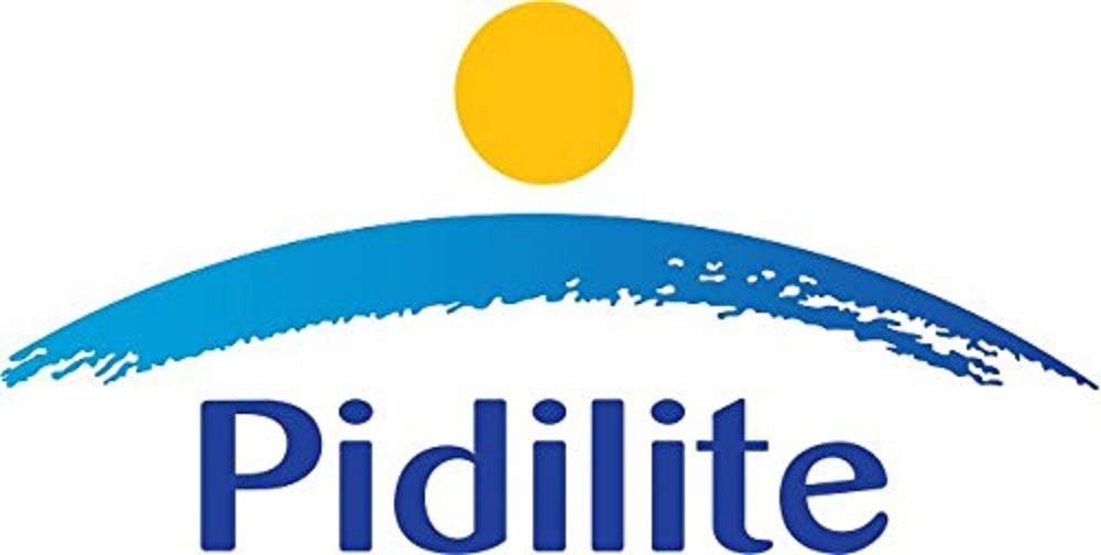 Pidilite Fevistik Nontoxic Glue Stick | 8 Gram