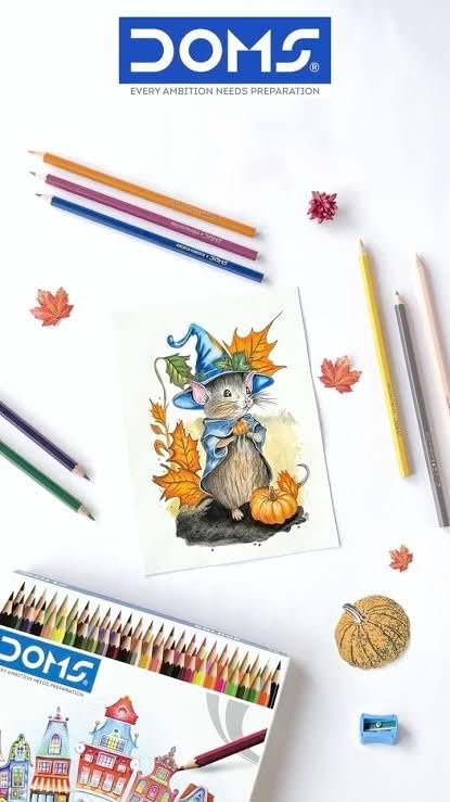 DOMS Colour Pencils 50 Shades | 2 Sharpener Free